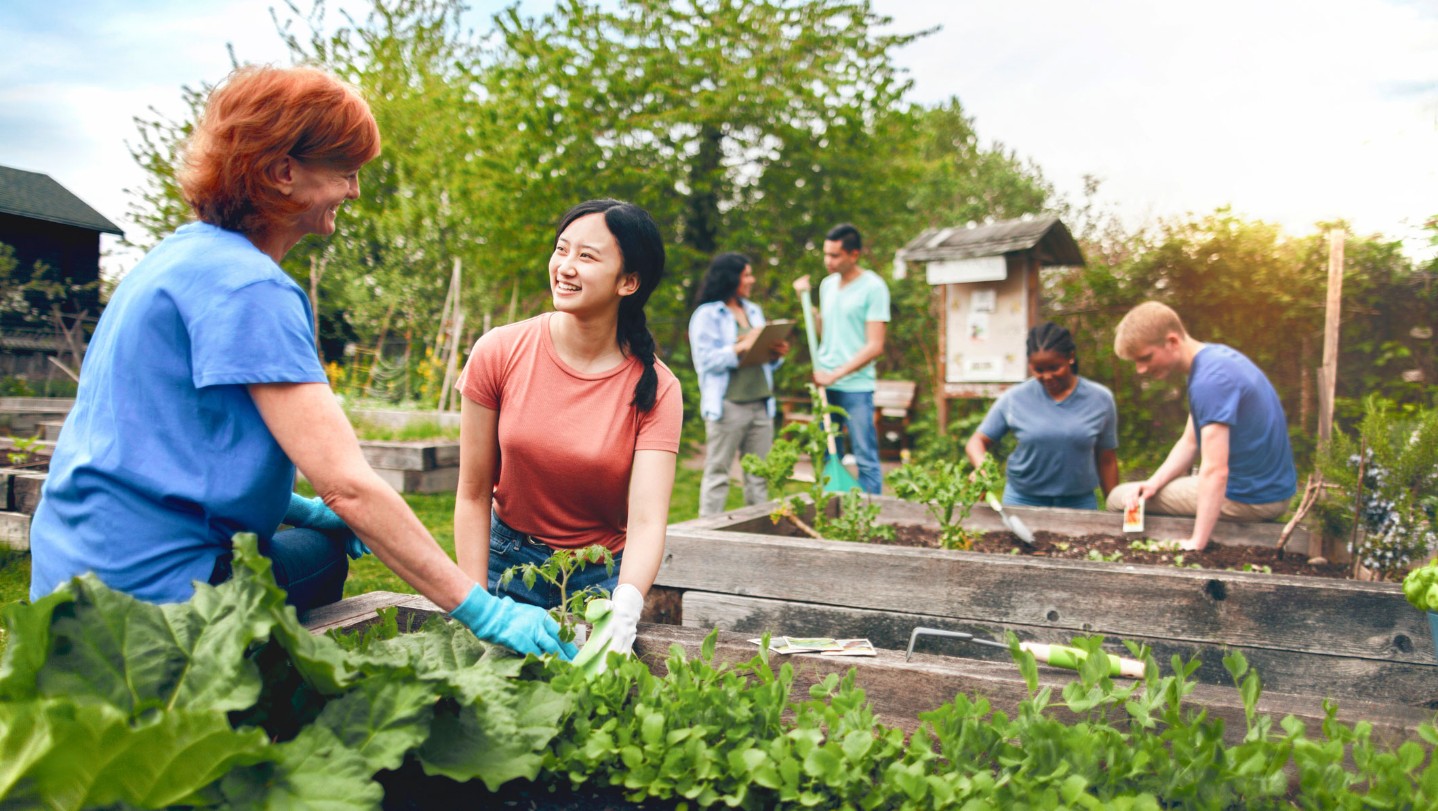 People tending to a community garden