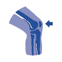 Knee icon